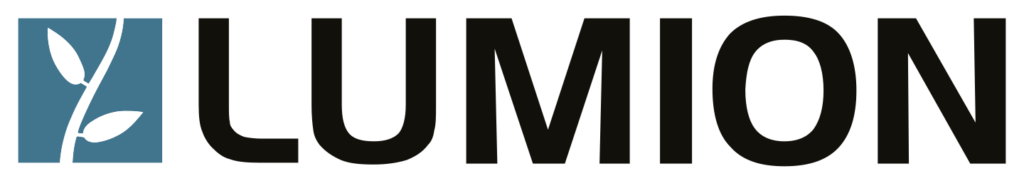 Lumion